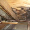 How Roof Leaks Can Lead to Mold and Structural Damage