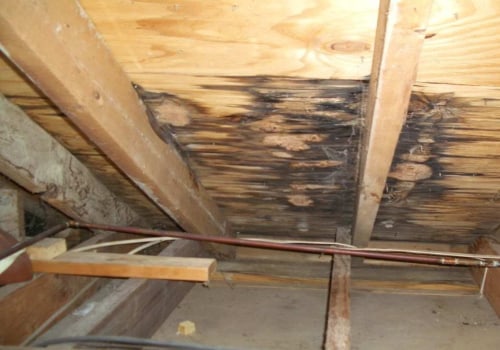 How Roof Leaks Can Lead to Mold and Structural Damage